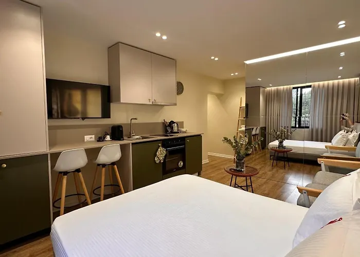 Matisse No29 - Center With Parking ティラナ